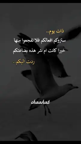ذات يوم ستزوركم أفعالكم فلا تفجعوا منها ،سواء كانت خيرا أو شرا هذه بضاعتكم  ردت اليكم.  #كما_تدين_تدان حقيقة يجب أن تدركها . #حب_اعمى #عاشق #جنون #fyp 