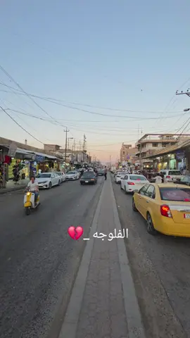 #تصويري #الانبار_موصل_بغداد_اربيل_كل_المحافظات #دليم_وعز_دليم #اكسبلورexplore❥🕊🦋💚❤ #العراق_السعوديه_الاردن_تركيا_الخليج 