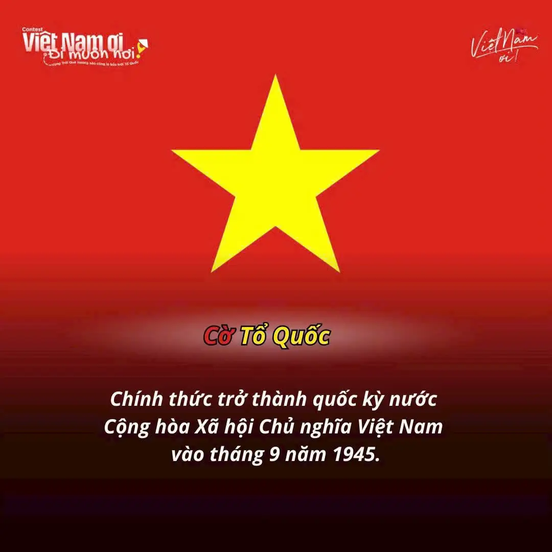 📖 Trước thềm Quốc khánh 2/9, hãy cùng ôn lại ý nghĩa của những lá cờ đã đi cùng dân tộc Việt Nam 🇻🇳 Mỗi sắc đỏ đều mang trong mình m,á,u, mồ hôi và khát vọng độc lập, tự do của cả dân tộc. Những lá cờ ấy không chỉ là biểu tượng, mà còn là ký ức, là niềm tự hào bất diệt trong trái tim hàng triệu người Việt. ❤️