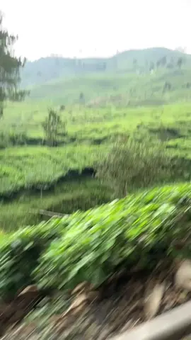 dulu impian bgt bisa bikin video bgini pas ke bogor dan skrg akhirnya kesampean juga Alhamdulilah 😁🫶 📍Telaga Saat Bogor #liburan  #bogor  #fypシ゚ 
