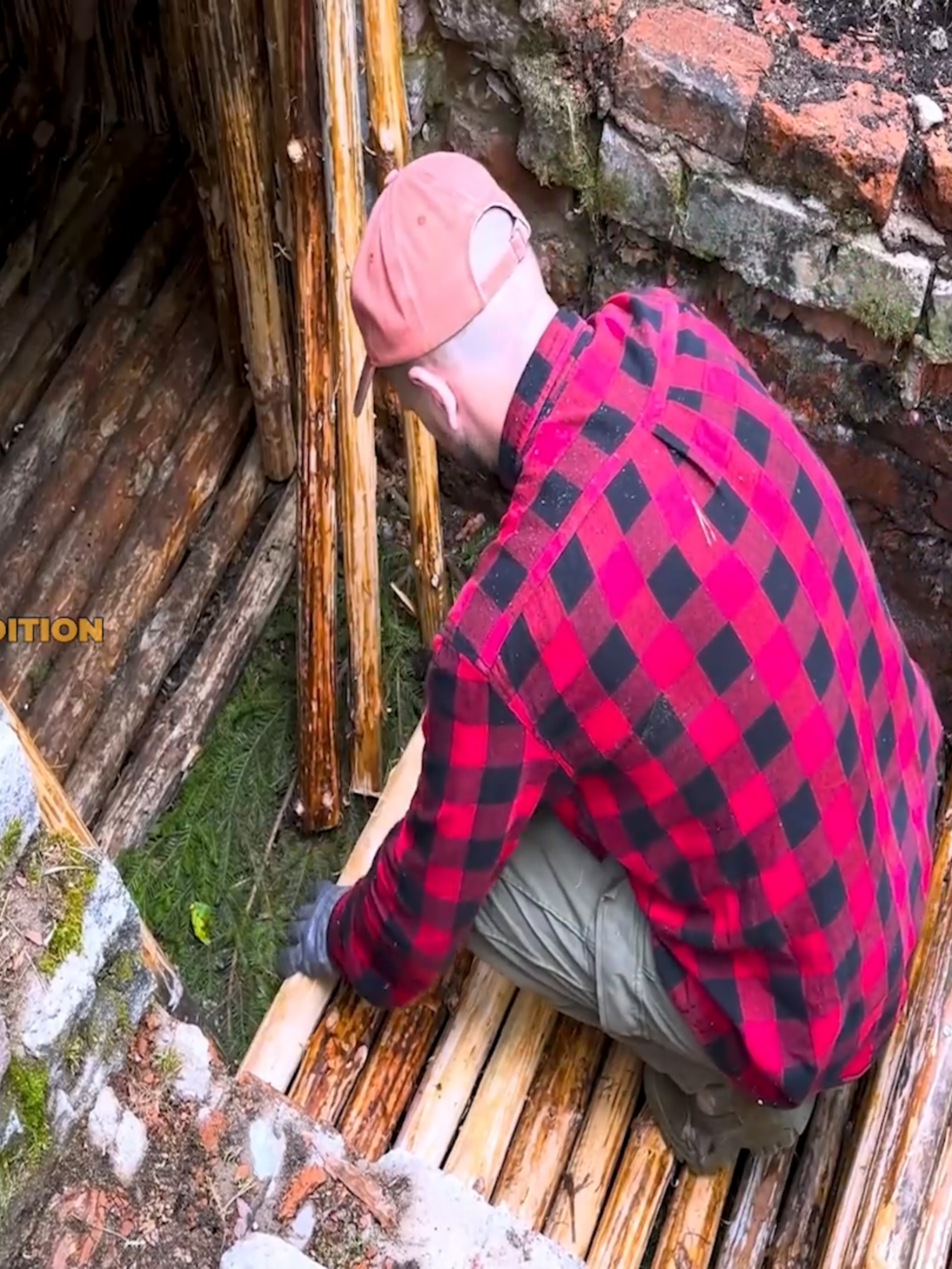 Building a long term shelter in forest from an old abandoned bunker - Best dugout forsurvival in a wild  #bushcruft #camping #Outdoors #adventure #survival