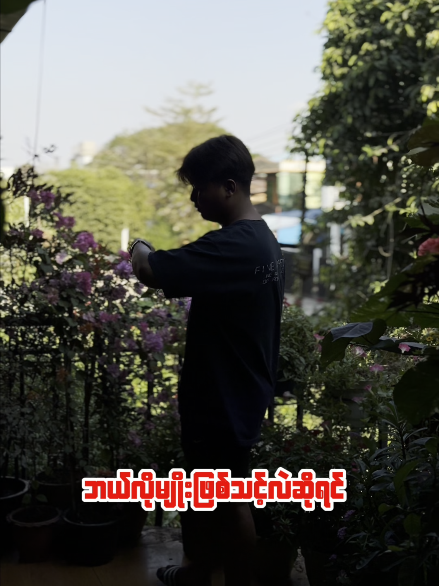 အတွဲအများစု သွေးအေးသွားစေတဲ့ အကြောင်းနဲ့ ရိုး