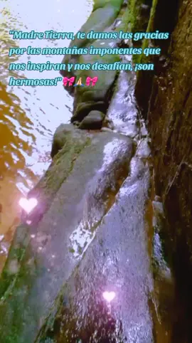 #LIVEIncentiveProgram #LIVEwithlowfollowers #PaidPartnership 