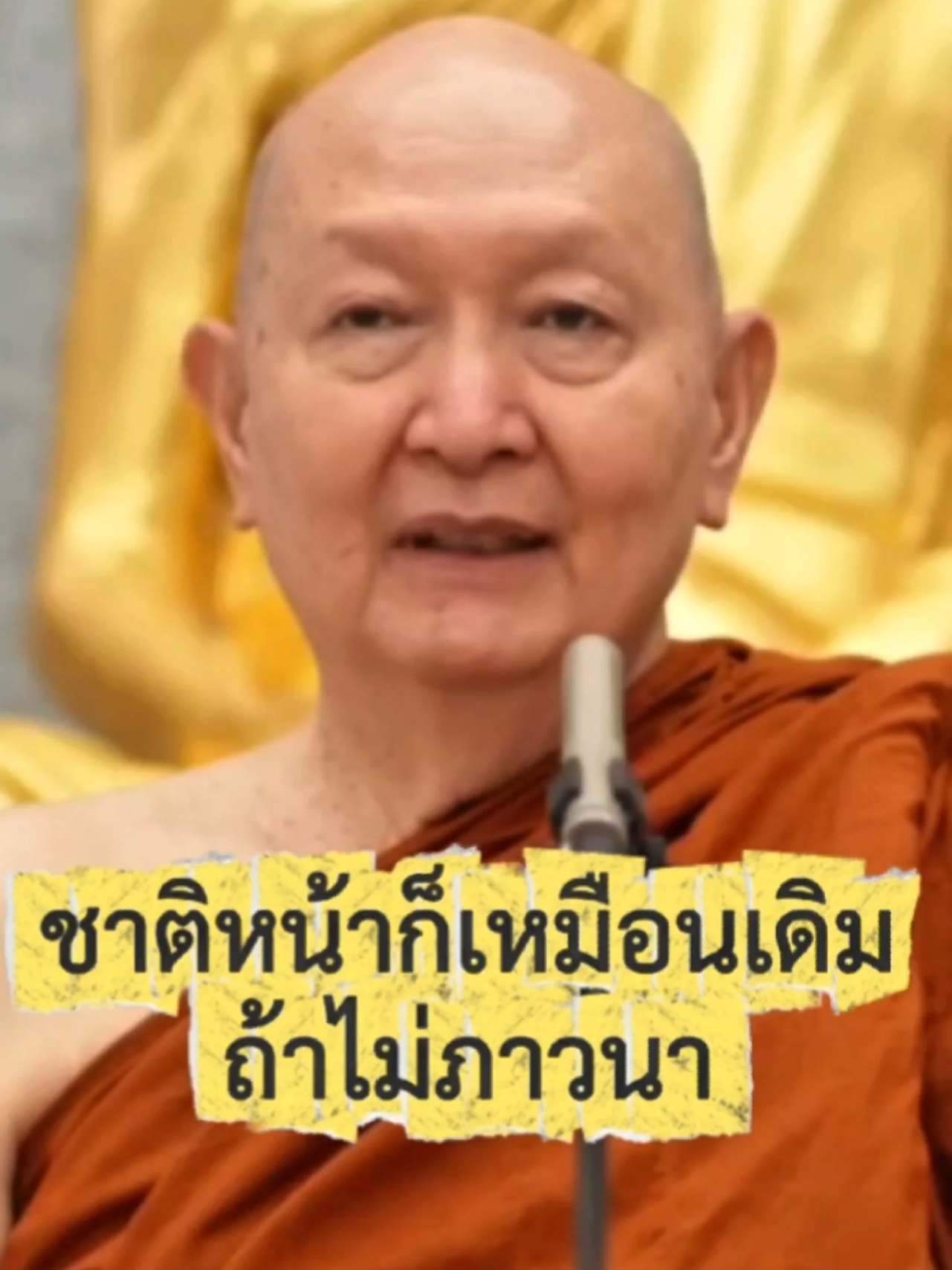ชาติหน้าก็เหมือนเดิมถ้าไม่ภาวนา #ปฏิบัติธรรม #หลวงพ่อปราโมทย์ #ธรรมะสอนใจ #ธรรมะสั้นๆ #ภาวนา