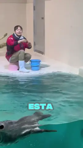 la nutria se esforzó demasiado🦦😂 #shorts 