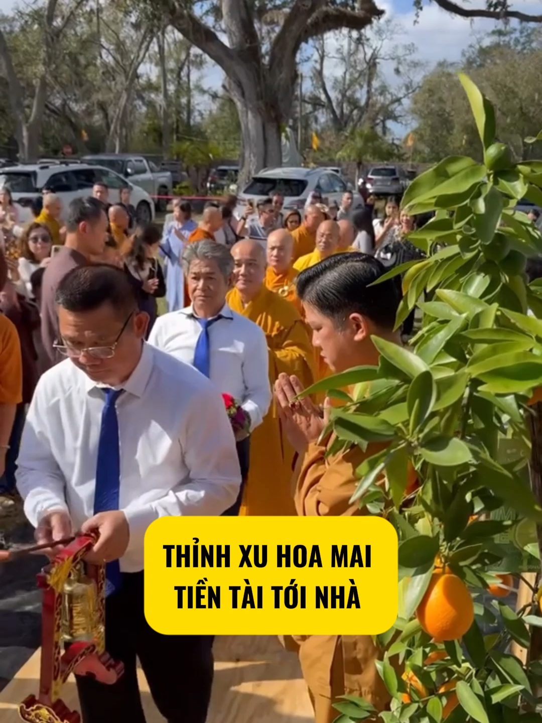 thỉnh xu hoa mai may mắn cả năm #thichphaphoa #labode12congiap #vongtram108hatmixhoasen #tuvi12congiap #phatphapnhiemmau #tamlinhhuyenbi #phongthuytamlinh #phongthuy #xuhoamai #xuhuong #vongchusa #xongnhatayue