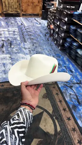 Chulada de texana @los huracanes del Norte 
