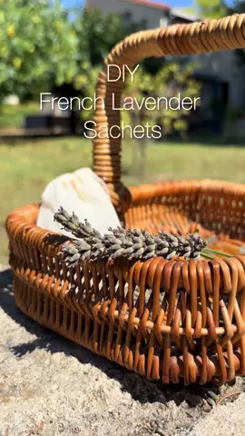 You’re making lavender sachets all wrong 🌿 Here’s the French way.  #herbalism #lavender #france #fyp #Recipe 