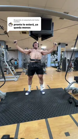 Respuesta a @Carlos Canales #gym #hater #culturismo #perro #viejo 