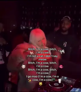 #dojacat #moo #cow #milkshake #lyricsong #2018 