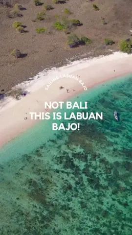 🌴✨ Not Bali… THIS is Labuan Bajo! Hidden paradise in Flores with stunning views, peaceful vibes, and authentic local culture. 💙 Forget the crowd, enjoy the real island life here. 🌊 Ready to explore Labuan Bajo? Pack your bag & let’s go! 🧳✈️ ----- Need more info & trip details? Check it out here: ☎ WhatsApp: +62851-1925-5503 🌍 Website: sailinglabuanbajo.com #travel #wanderlust #beautifuldestinations #instatravel #travelgram #photooftheday #vacation #exploreindonesia #wonderfulindonesia #travelphotography #labuanbajo #labuanbajotrip #komodo #flores #southeastasia #vacationmode #islandlife #sailinglabuanbajo  #fyp 