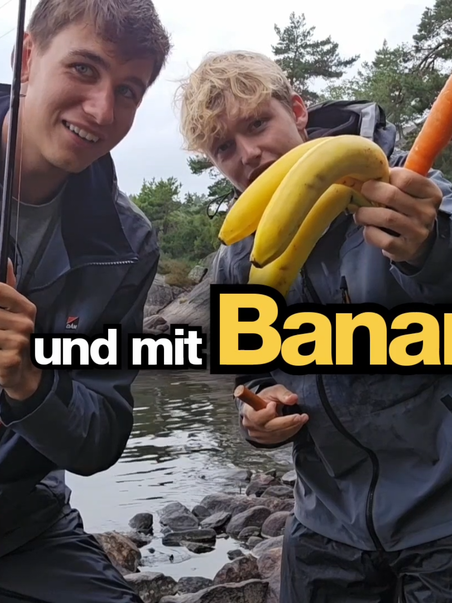 Hechtangeln mit Banane, Möhre und Bockwurst? Ob das klappt seht ihr auf Youtube 🐊🤣 #hechtangeln #angeln #harzfishing #angler #pikefishing 