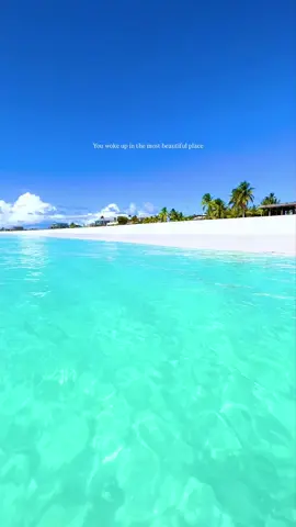 Would you add this paradise to your bucket list? 🌴🌊 Welcome to Princess Diana Beach in Barbuda 🇦🇬 — a Caribbean gem with powder-white sand, crystal-clear turquoise waters, and zero crowds. No wonder it’s named after royalty 👑💙 #TravelGoals #barbuda #caribbean #beachvibes #travelgoals #travelinspo #traveldeals #travel #beachlovers #traveltips #travelgram #bucketlist #hotel #resort #vacation #adventure #destideals 🎥 Credits: @jervezlee._