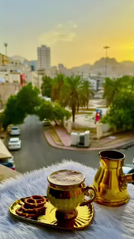 #فضل_شاكر_🎶🎵🎤 #الدنيا_منعيشها_مرة👌 #ربداويه🦋🍂 #fybシviral #fybシviral_video_tiktok 