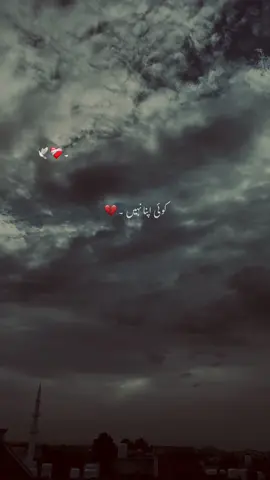 Koi apna nai-🙌🏻🥹#hehe-akhtar#viralvideos #growmyaccount #poetrystatus #aestheticvideos #unfreezemyacount #1millionaudition 