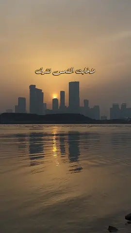 #نادر_الشراري#ضيقة_العاشقين #شيلات #غروب #fypシ゚viral 
