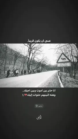 #المشهد #ايران🇮🇷 #موكب_الاحزان #اعاده_نشر🔁 #فاضل_عواد_السماوي 
