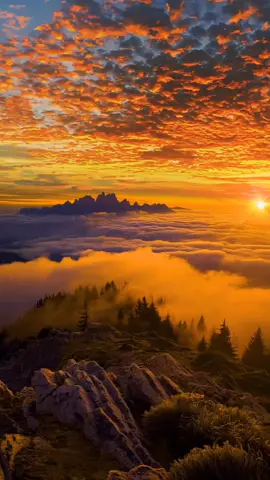 اصيل ابو بكر سالم// شمس بينى وبينك 