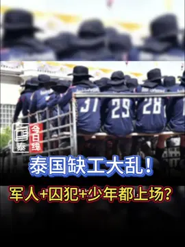 柬埔寨劳工回国，泰国工厂农场立刻没人干！劳工部长急招新兵：斯里兰卡工人、军人、囚犯、少年都要顶上！这操作，到底救急还是添乱？  #泰国缺工 #劳动力危机 #蓬功文 #今日泰线