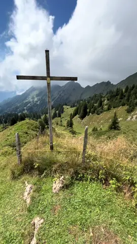 Based. #switzerland #mountains #nature #fyp #141 