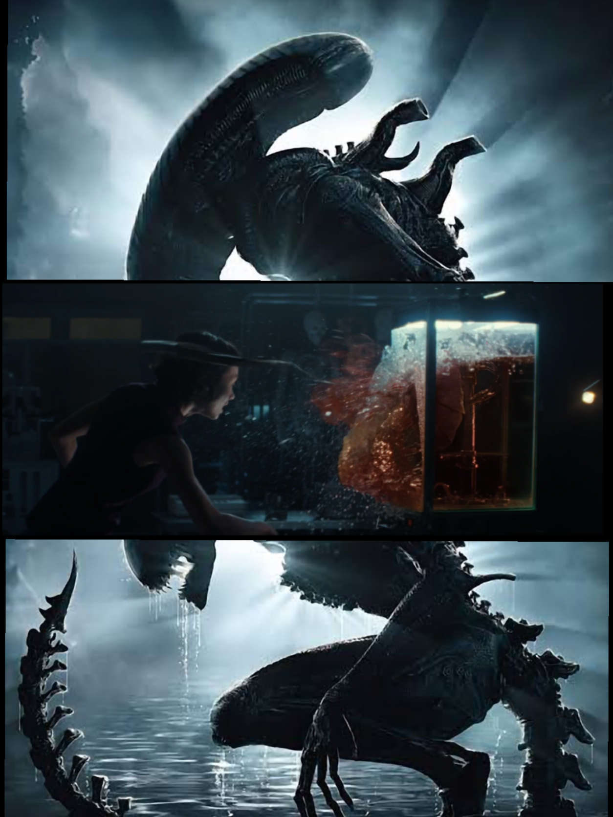 Ailen Earth : สนทนาภาษา Xenomorph ปรสิตฝักตัวออกมาจากปอดมนุษย์ #Alien #alien #ailenearth #facehugger  #xenomorph 