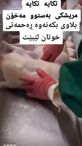 #islamic_video 