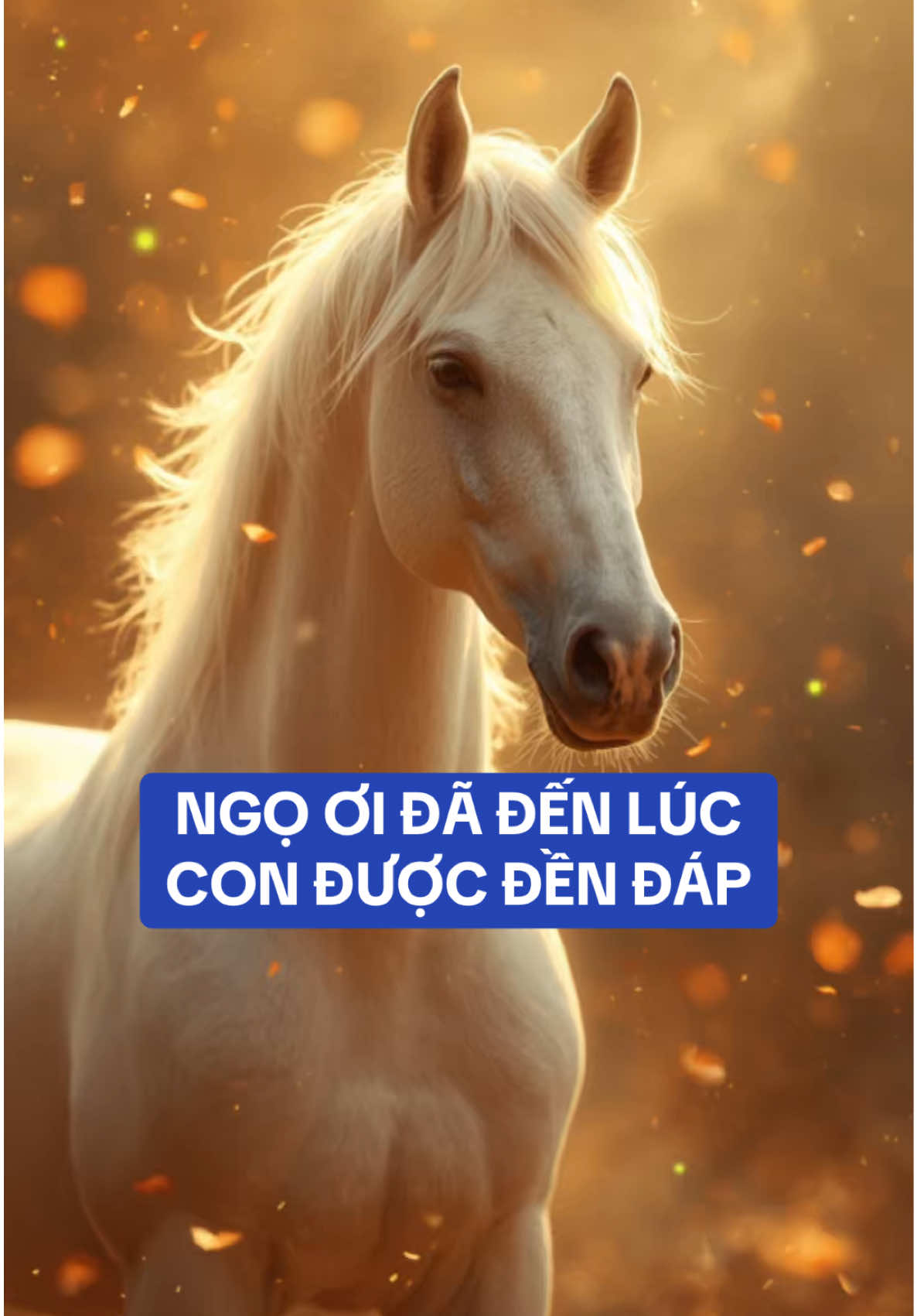 Tuổi Ngọ đã đến lúc được đền đáp ! #Tuoingo #tuvituoingo #tuvi12congiap #12congiap #tailocmayman   