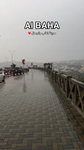 #مدينة_الضباب_الباحة #ضباب_و_برد #الباحه_الجنوب #شتاء_السعودية #غابة_رغدان 