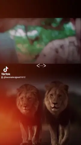 Mera Sher Veera 🥺🦁