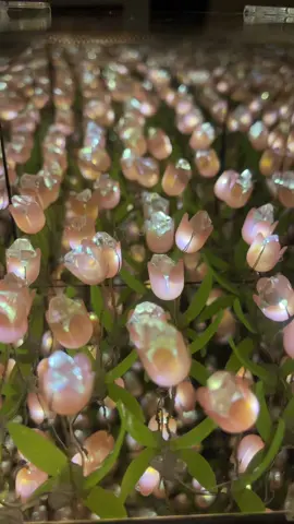 Sooo magical 🧙 #lamp #flowers #tulips #lights #flowerlights 