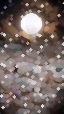 #CapCut #اشكد_ماخذه_اعزاز💔 #مقبرة_وادي_السلام_النجف #الفاتحة_لروحه_الطاهرة #الله_يساعد_كلبه_الفاگد_عزيز 