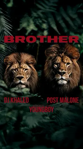 BROTHER 🤞🏽 - DJ KHALED feat. @Post Malone & myself THURSDAY @ MIDNIGHT ET 