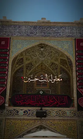 #الامام_الحسين #باسم_الكربلائي #capcut #اكسبلورexplore #ترند 