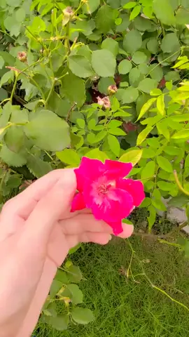 #🥰🥰🥰🥰❤️❤️❤️ 