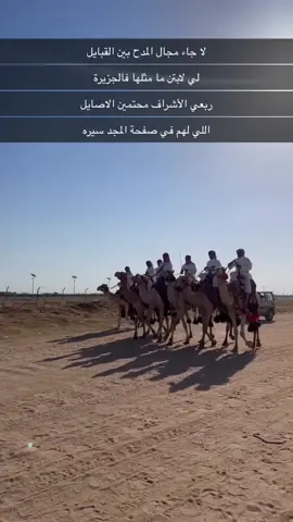 هجن#الاشراف#ال زيد#الطايف#عشيره