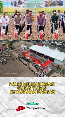 Menuju Indonesia mandiri pangan! Polri ikut turun tangan tanam jagung 1 juta hektar dengan target panen sampai 10 juta ton. Langkah nyata untuk swasembada & ketahanan pangan nasional. #polriuntukmasyarakat #ketahananpangan #ketahananpanganpolri #riseagainpolri  #tempodotco 