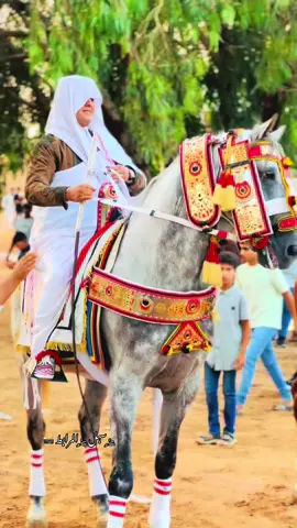 الرايس فخامه واخلاق وتواضع وحكمه مش قولت قال 🫡 #سهل_المرابط🥇📸 #خيل_وخياله🐎 #خيل🐎 #الخيل_من_خيالها #الرايس_مصطفي_بن_شريعة @مصطفى بن شريعه 