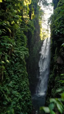 Hidden Waterfall ❤️❤️ . . . . . . . . . . . . #cinematic #peace #viral #breathtaking #views 