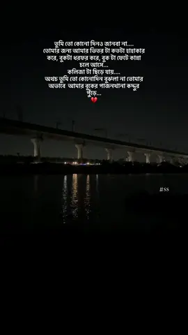 অথচ তুমি তো কোনোদিন বুঝলা না তোমার অভাবে  আমার বুকের পাজনখানা কদ্দুর পুঁড়ে... 💔