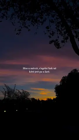 #fypage #foryou #bslyricss #thenje #shqip  