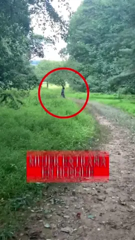 Mujer extraña en el bosque 😳 #curiosidades #misterio #world #videoviral #datospertubadores 