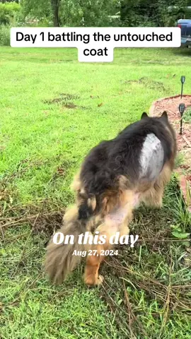 #onthisday 