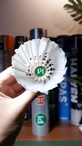 #caul #haiyen #vuistore #vietnam #badminton 