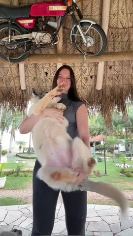 Respondendo a @desenhos e series eu amoooo #fyp 