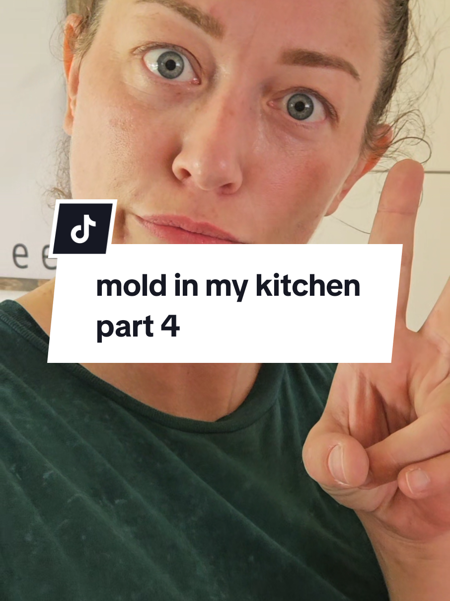 #mold ##moldremoval #moldremediation #kitchengut #kitchenrenovation #kitchen 