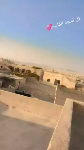 تل اسود القلب 💞