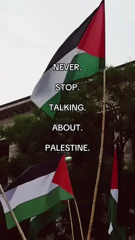 FREE PALESTINE 🇵🇸 #freepalestine #palestine #fyp 