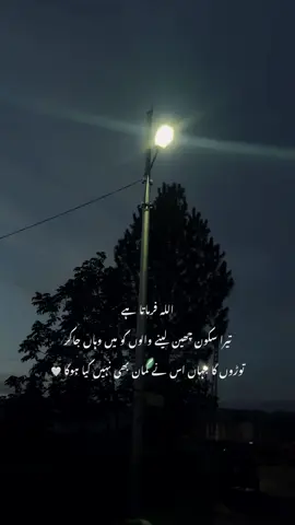 🌸__’’ #yours_sheryyy #foryou #foryoupage #urdupoetry 