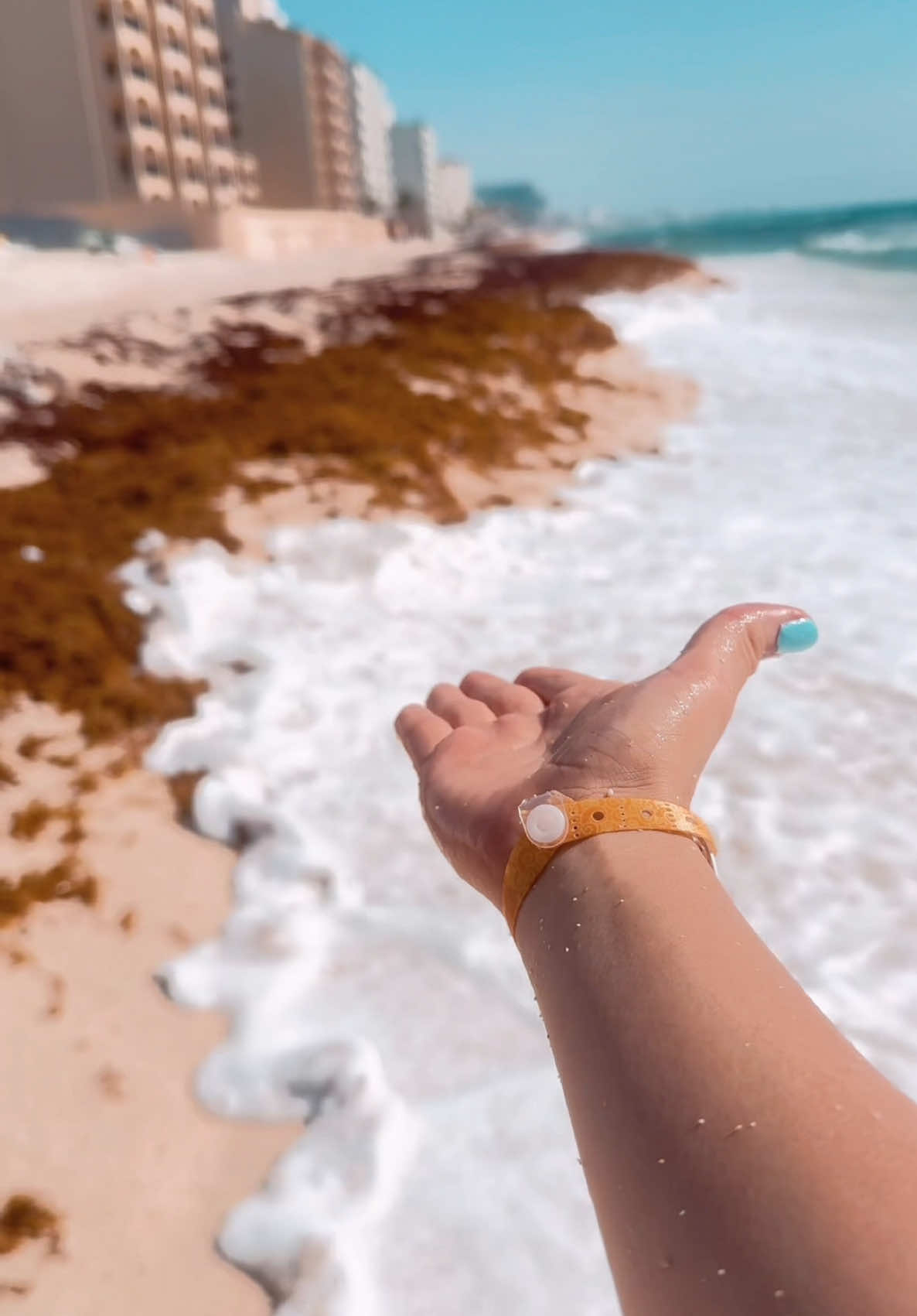 Cancun 08/27/2025 seaweed 😭😭 #cancunvacation #cancunseaweed #moana #maui #seaweed 