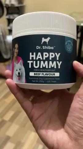 dr. shiba happy tummy  dr. shiba happy tummy review dr. shiba happy tummy benefits dr. shiba happy tummy intake #treatsfordogs#supplementfordogs#beefflavour#tiktokaffiliate   